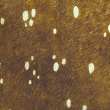 Load image into Gallery viewer, Katrina Small Tote -Printed Hairon Leather