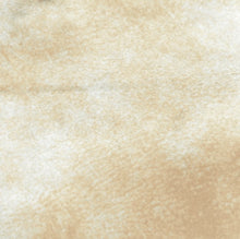 Load image into Gallery viewer, Gini Envelope Clutch - Metallic Leather