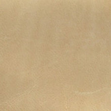 Load image into Gallery viewer, Poppy Wallet Color Leather