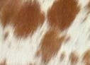 Load image into Gallery viewer, Cowhide Hairon Leather Tray
